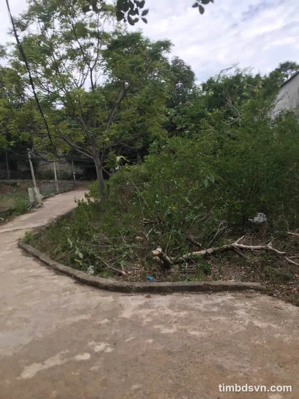 Bán đất 76m2 ba mặt tiền Quy Nhơn 250 triệu