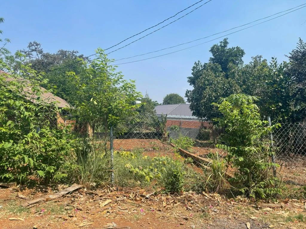 Bán đất 125m² Phường Eakao Buôn Hôldót, mặt tiền đường nhựa - Ảnh thu nhỏ 2