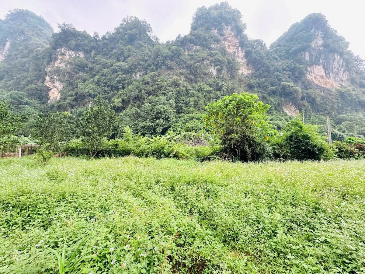 Bán đất bám suối view núi đá Hòa Bình 1.160m² - Ảnh thu nhỏ 2