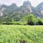 Bán đất bám suối view núi đá Hòa Bình 1.160m² - Ảnh thu nhỏ 2
