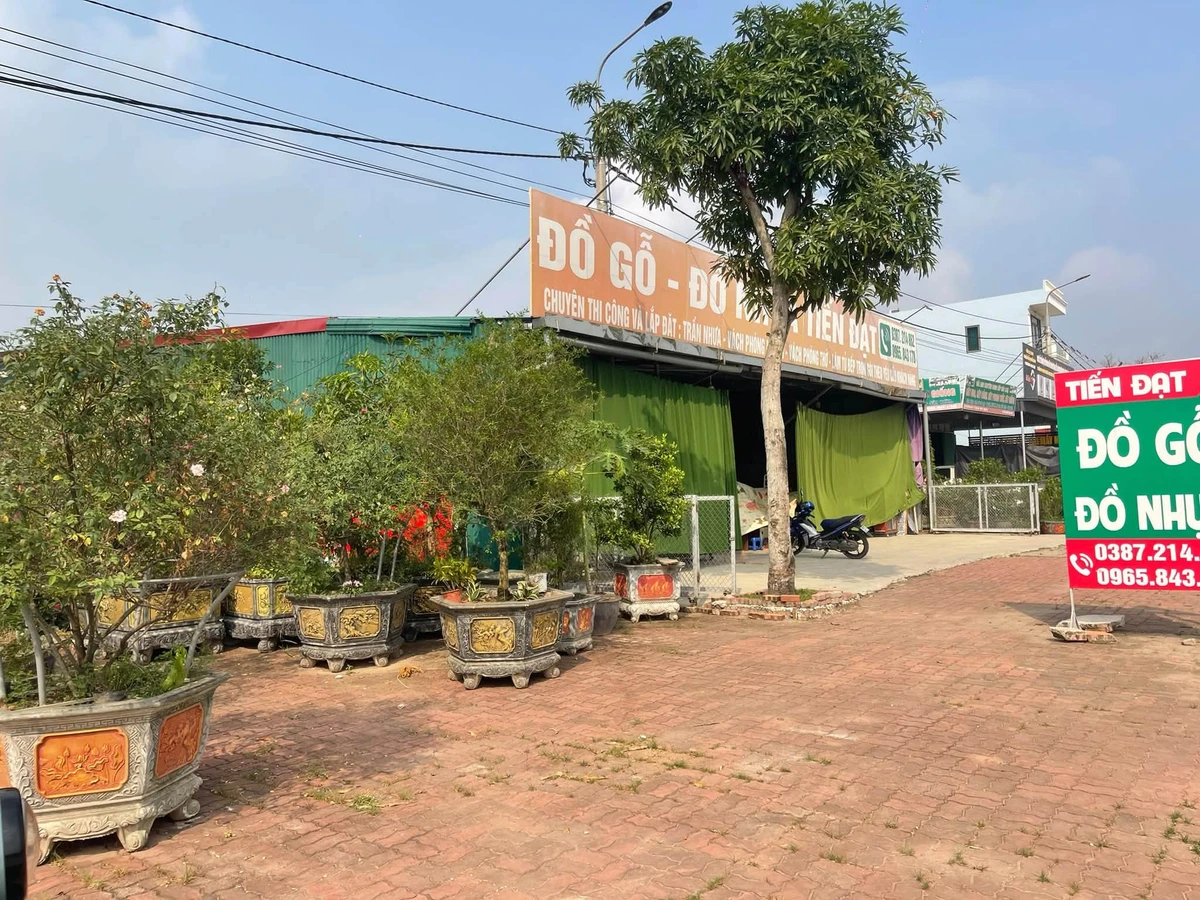 Bán đất mặt đường 105.2m² Hưng Yên - Ảnh thu nhỏ 3