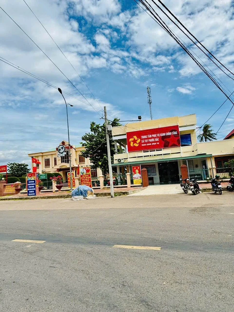 Bán đất Tuy Phước Bắc 99m2 mặt tiền 5m giá 590 triệu - Ảnh thu nhỏ 5
