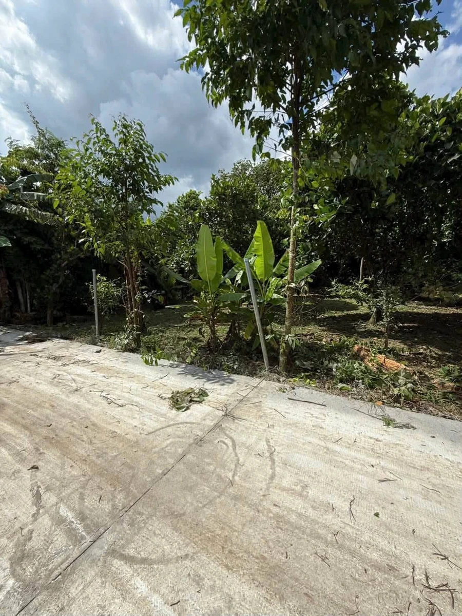 Bán đất vườn 500m² Bảo Vinh, Đồng Nai, 650 triệu - Ảnh thu nhỏ 4