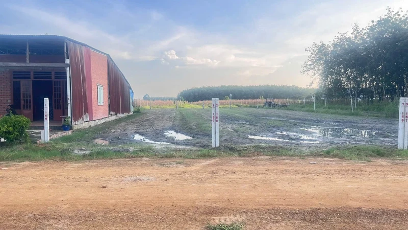 Bán đất 80m² Xã Phan, Tây Ninh 329 triệu