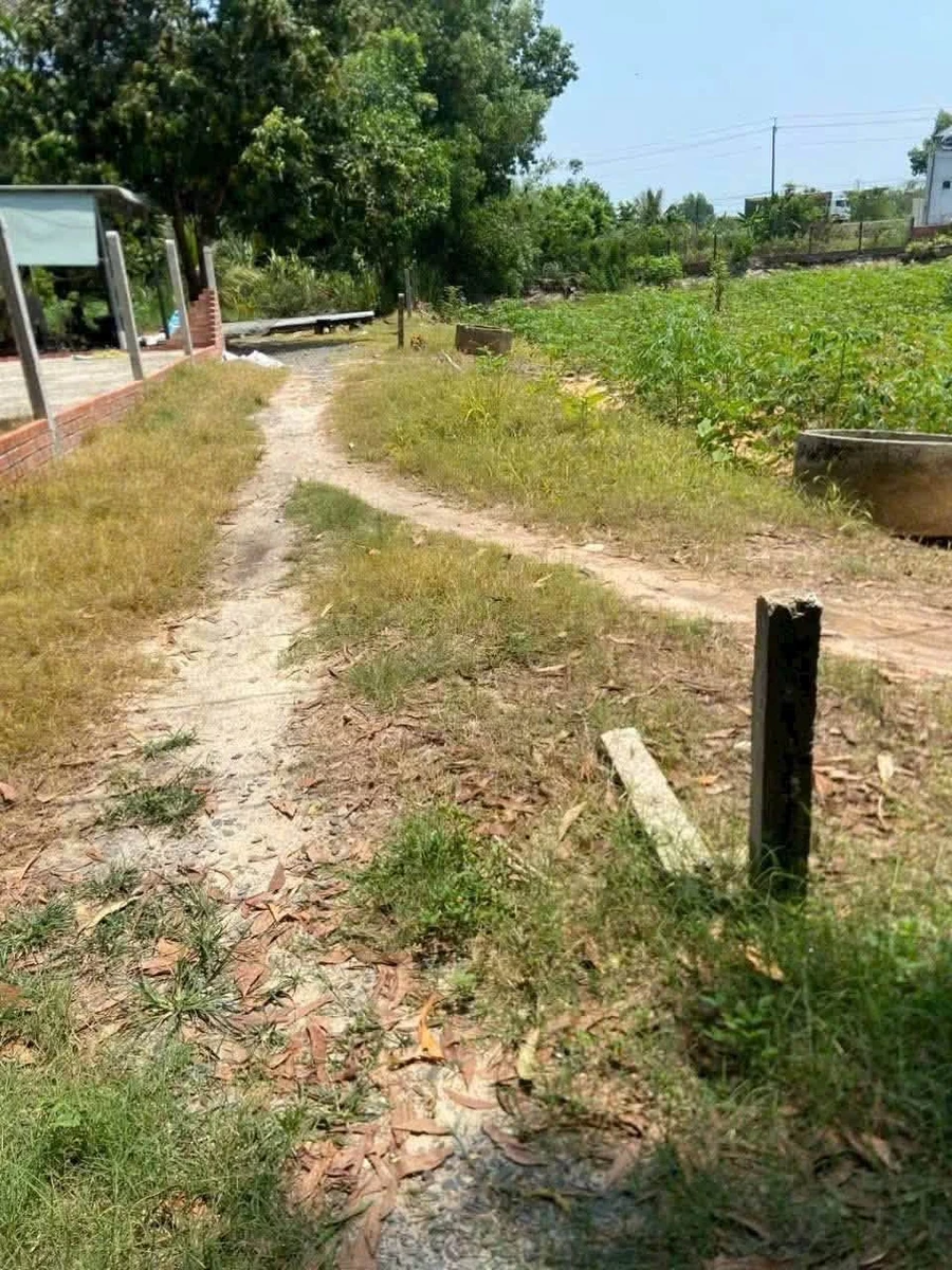 Bán đất Phường Bình Minh, Tây Ninh, 24x49.6m, 399 triệu - Ảnh thu nhỏ 2