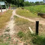 Bán đất Phường Bình Minh, Tây Ninh, 24x49.6m, 399 triệu - Ảnh thu nhỏ 2