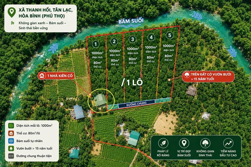 Đất bám sông Bưởi với vườn bưởi 935m² tại Tân Lạc, Hòa Bình
