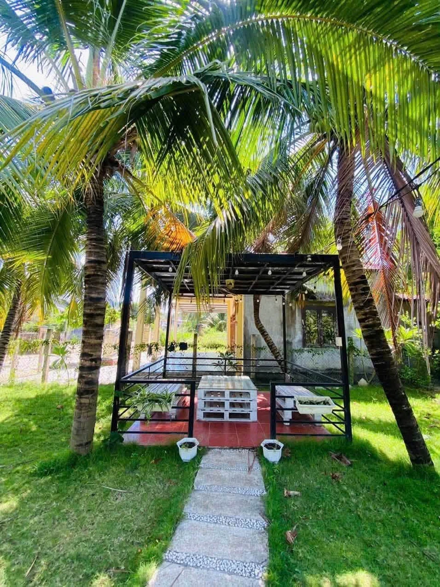 Bán nhà vườn 2 mặt tiền 534m² Nha Trang 4.7 tỷ - Ảnh thu nhỏ 2