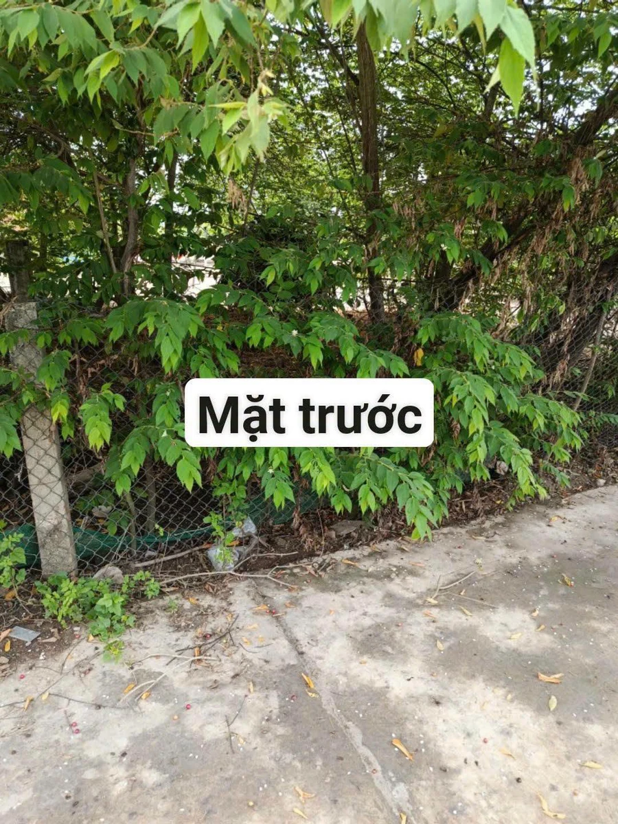 Bán 2 lô đất thổ cư Ninh Hòa 210m², 850 triệu/lô - Ảnh thu nhỏ 3