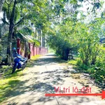 Bán đất ở Trừ Văn Thố 100 m2 - Ảnh thu nhỏ 1