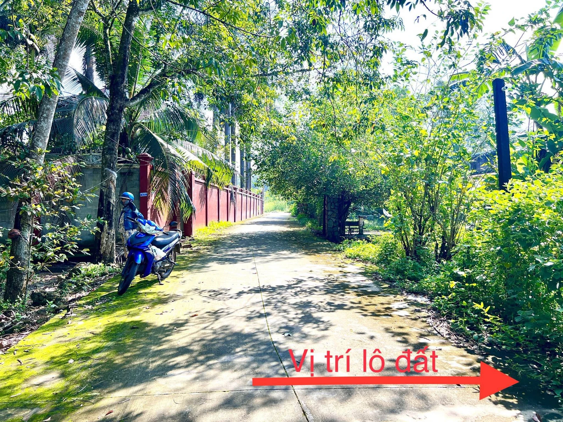 Bán đất ở Trừ Văn Thố 100 m2 - Ảnh 1