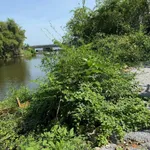 Bán đất CLN 225m² Thanh Hà Hội An view sông 800 triệu - Ảnh thu nhỏ 1