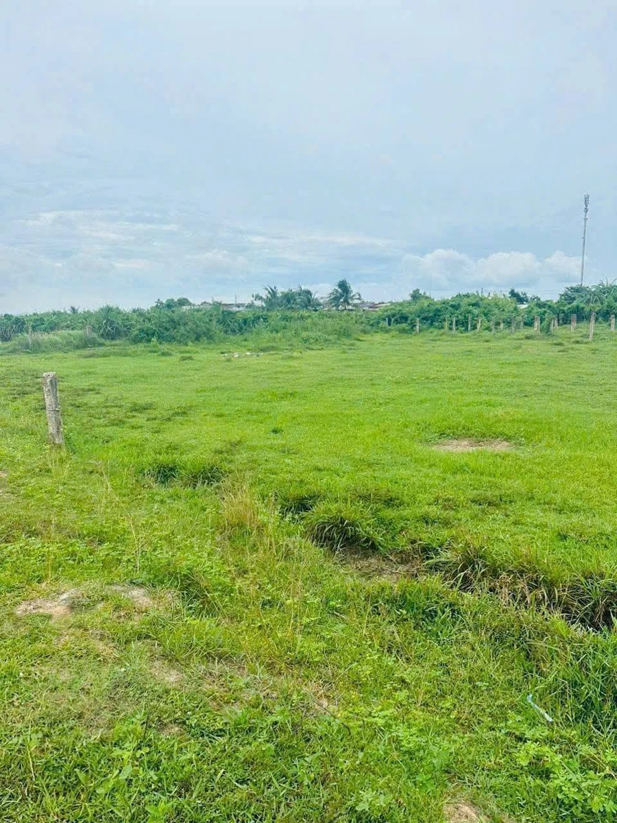 Bán đất vườn 1.426m² view hồ Cần Giờ - Ảnh thu nhỏ 3
