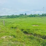 Bán đất vườn 1.426m² view hồ Cần Giờ - Ảnh thu nhỏ 3