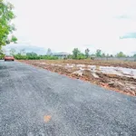 Bán 3 lô đất vườn 500m² mặt tiền 6m tại Bến Lức, Long An - Ảnh thu nhỏ 5