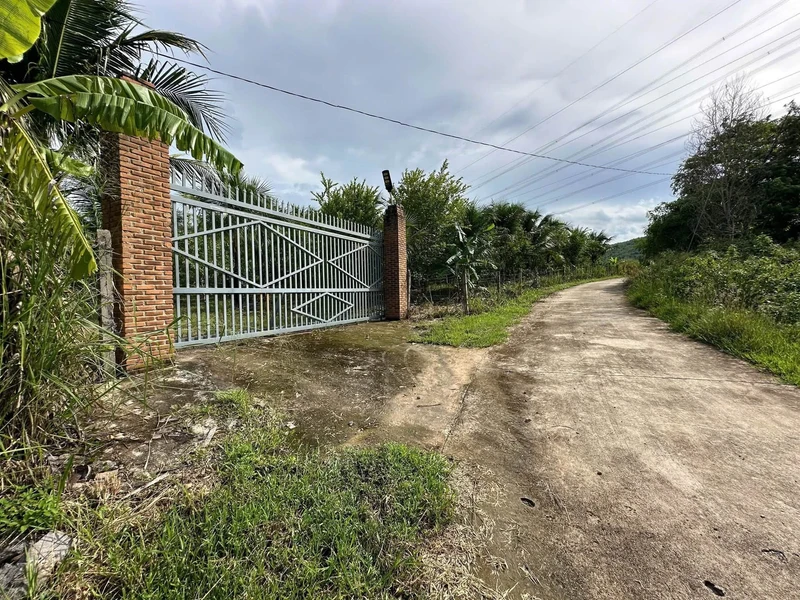Bán farm nghỉ dưỡng Diên Thọ 16.240m² sổ hồng