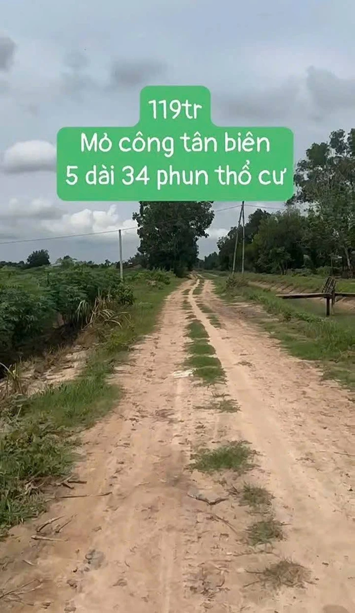Bán đất 175m² giá 119 triệu tại Mỏ Công, Tây Ninh - Ảnh 1