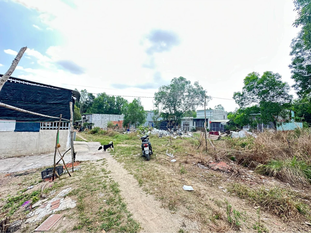 Bán đất nền Khu Thị Vải Mỹ Xuân 100m2 giá 260 triệu - Ảnh 1