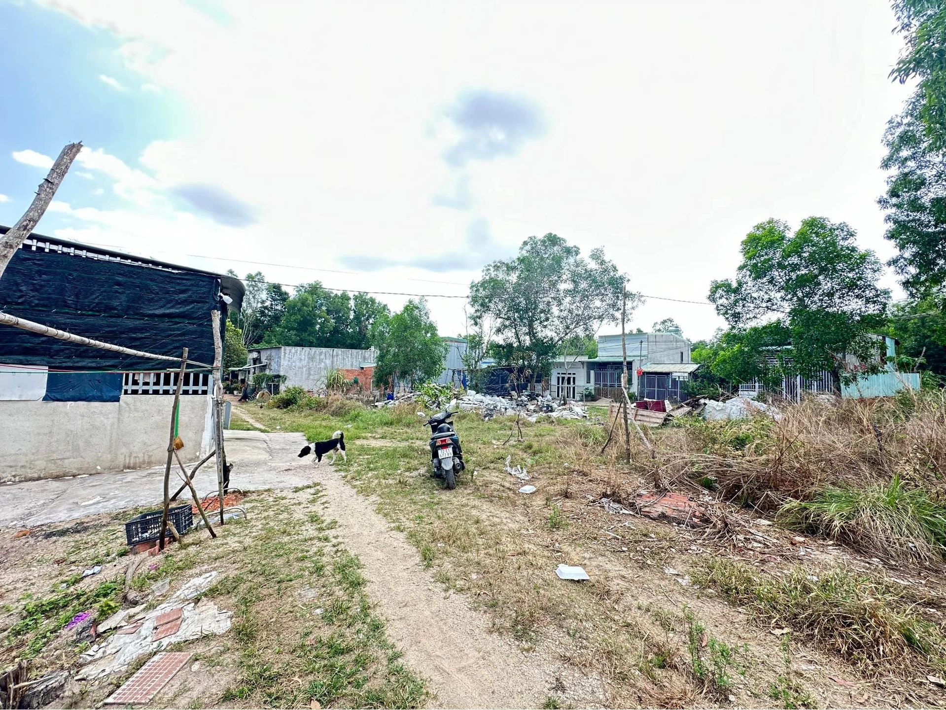 Bán đất nền Khu Thị Vải Mỹ Xuân 100m2 giá 260 triệu - Ảnh 1