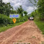 Vườn vải full siêu đẹp chỉ 6xxtr - Ảnh thu nhỏ 7