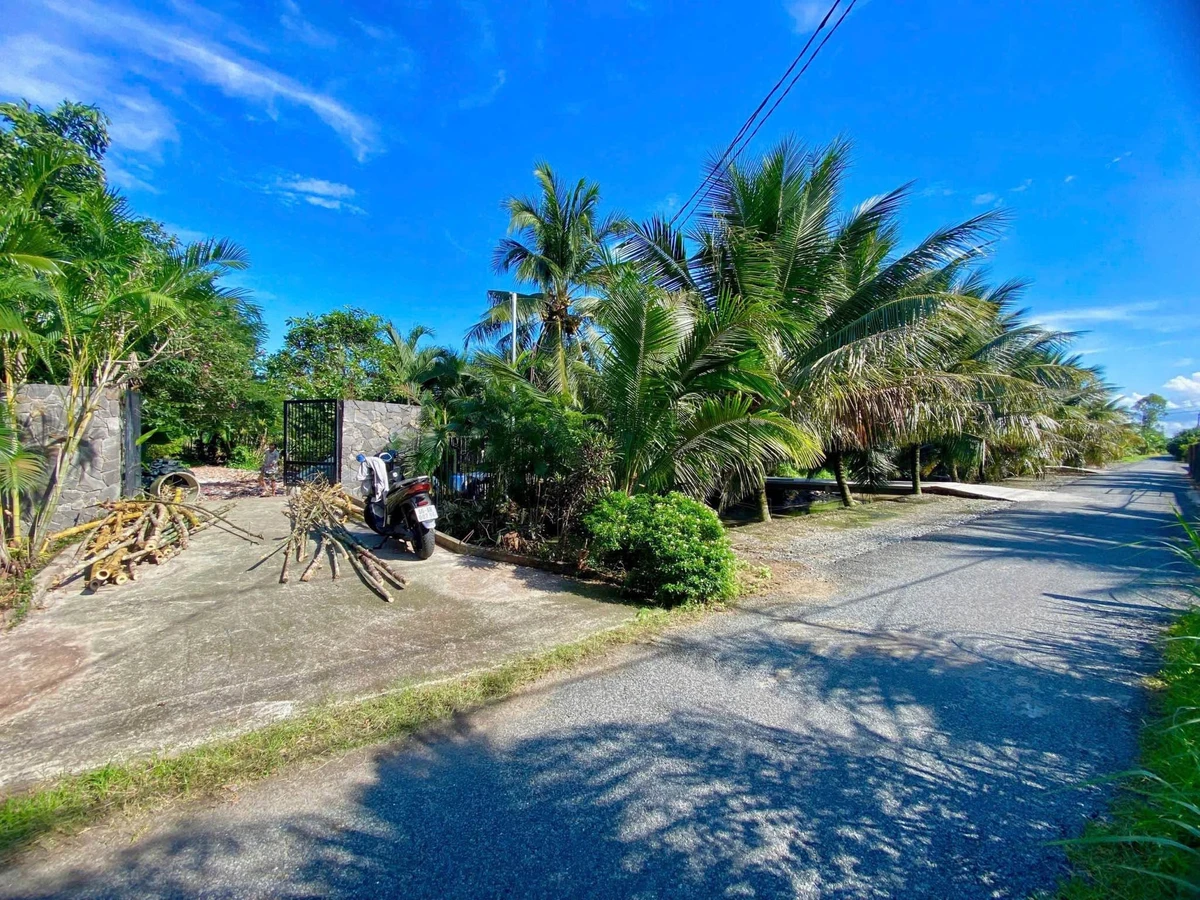 Bán đất vườn 1919m² view kênh Chợ Gạo - Ảnh thu nhỏ 2