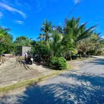 Bán đất vườn 1919m² view kênh Chợ Gạo - Ảnh thu nhỏ 2