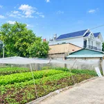 Bán đất biệt thự 8x37m, 239m² Ngô Quyền gần Chợ Hóc Môn, nhỉnh 5 tỷ - Ảnh thu nhỏ 2
