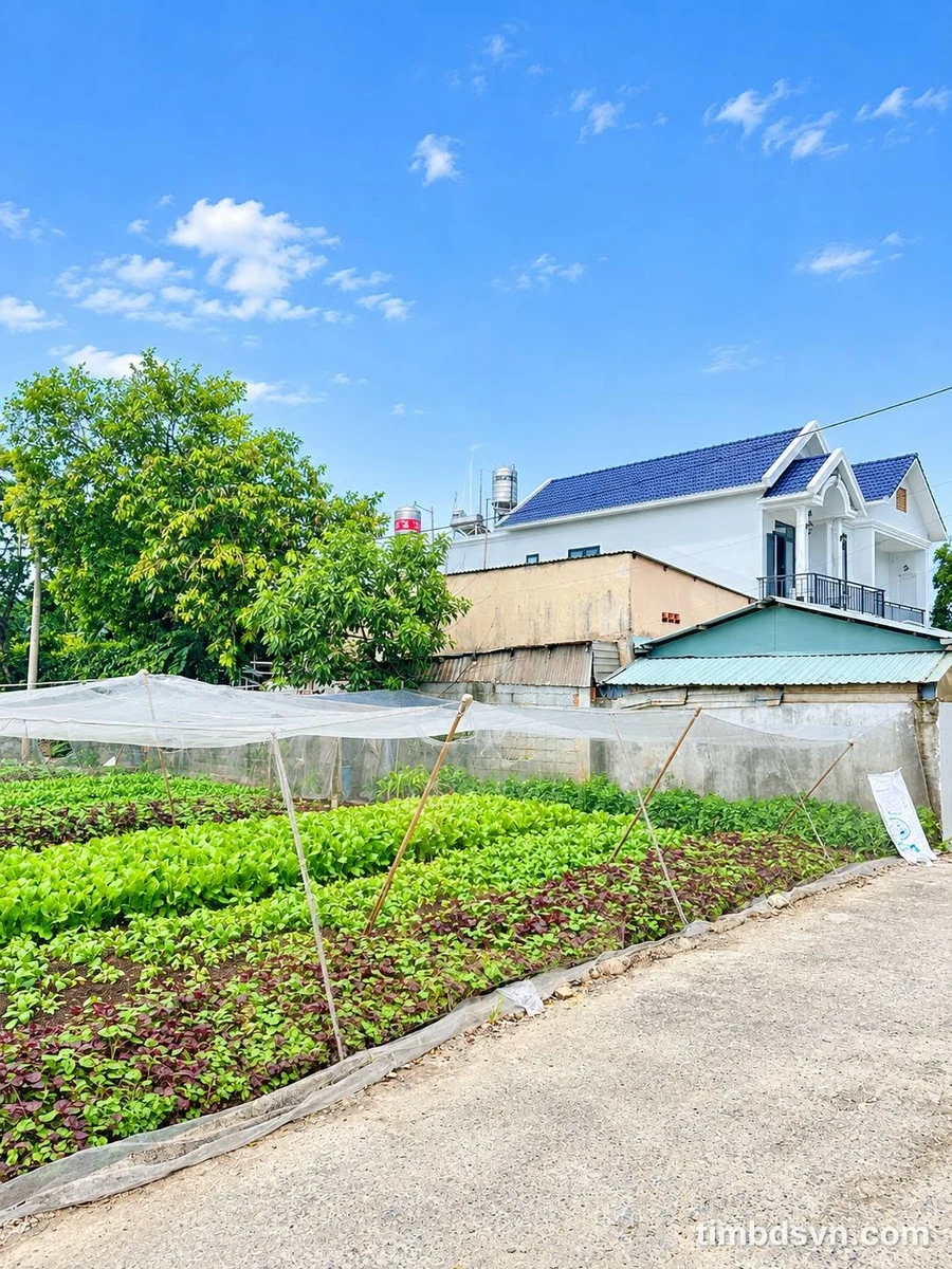 Bán đất biệt thự 8x37m, 239m² Ngô Quyền gần Chợ Hóc Môn, nhỉnh 5 tỷ - Ảnh thu nhỏ 2