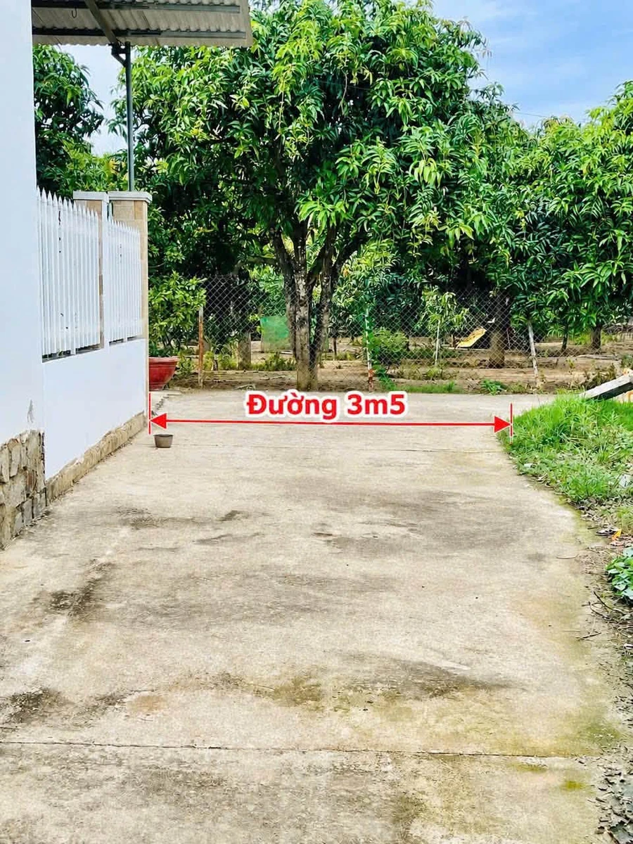 Bán đất dân cắt Diên Phú 67m² 580 triệu - Ảnh thu nhỏ 2