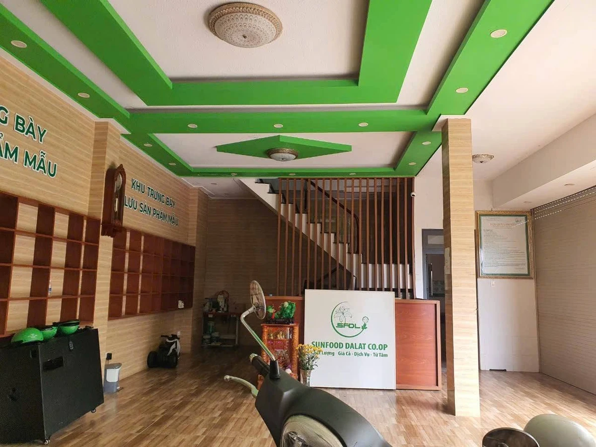 Bán nhà 2 mặt tiền 100m² Trần Anh Tông, Đà Lạt - Ảnh thu nhỏ 3