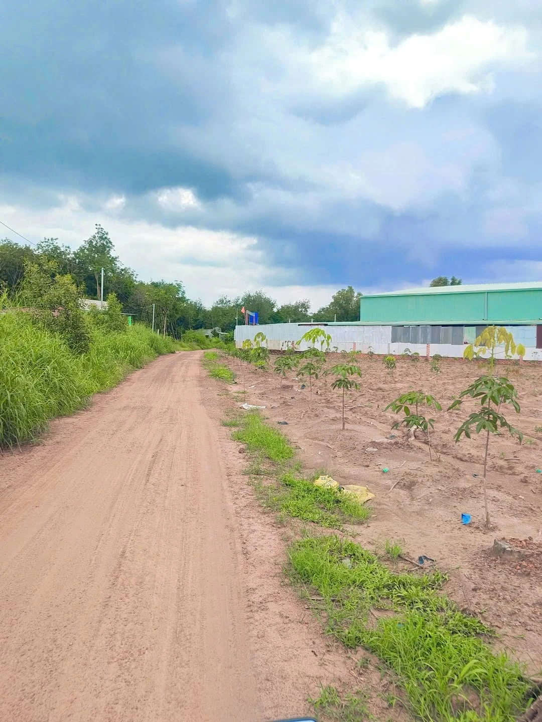 Bán đất 286m2 (100m2 thổ cư) xã An Linh, Phú Giáo, Bình Dương giá 350 triệu - Ảnh 1