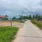 Bán đất thổ cư 5x40m sổ hồng riêng ấp 3 An Thạnh, Bến Lức, Long An - Ảnh thu nhỏ 1