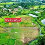 Bán lô đất thổ cư 60m² Đắk Lắk giá 120 triệu - Ảnh thu nhỏ 2