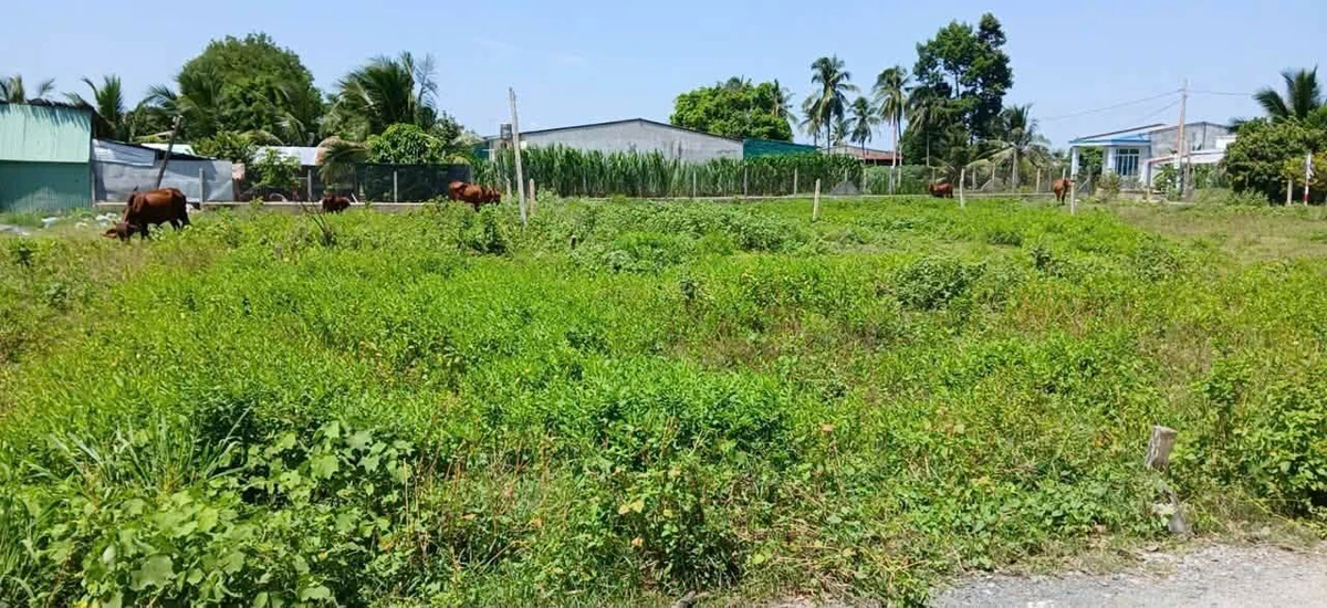 Bán lô đất 5x37m có 50m² thổ cư giá 249 triệu tại Xã Phan, Dương Minh Châu, Tây Ninh - Ảnh thu nhỏ 3