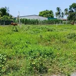 Bán lô đất 5x37m có 50m² thổ cư giá 249 triệu tại Xã Phan, Dương Minh Châu, Tây Ninh - Ảnh thu nhỏ 3