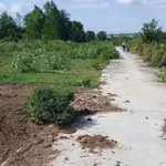Bán đất 9.240m² tại Bắc Bình, Bình Thuận, giá 2,1 tỷ - Ảnh thu nhỏ 3