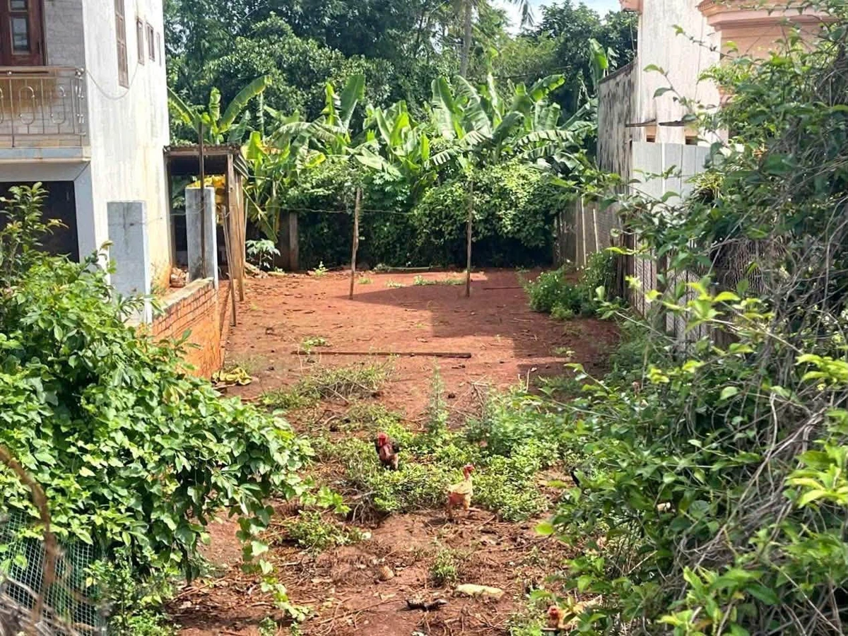 Bán đất mặt tiền Nguyễn Văn Linh 5,8x23m giá 4,5 tỷ, Buôn Ma Thuột - Ảnh thu nhỏ 2