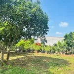 Bán đất nền Tân Hội Lâm Đồng 125m² giá 680 triệu - Ảnh thu nhỏ 4