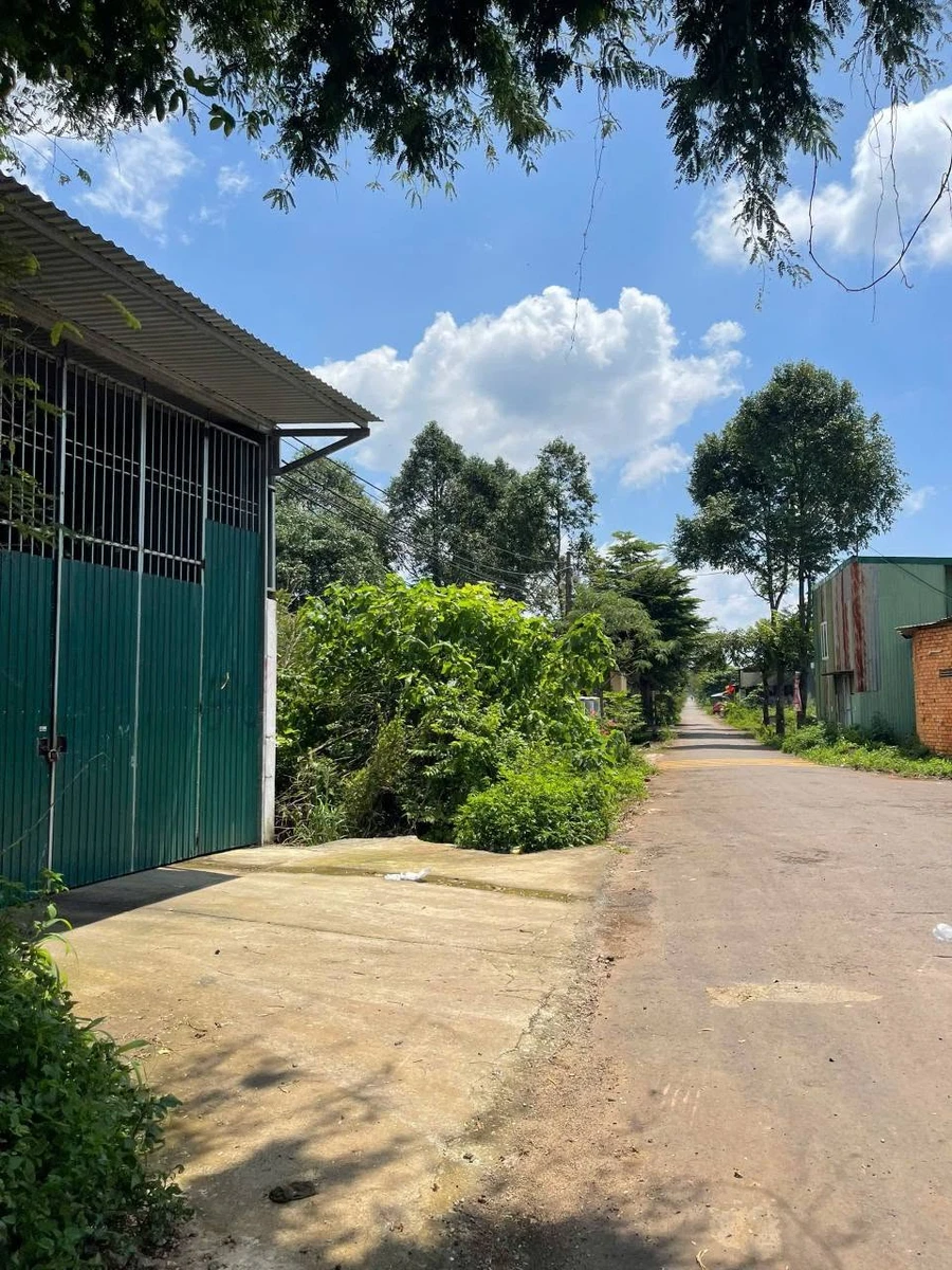 Bán đất mặt tiền 150m² Nguyễn Thị Định, TP. Bình Minh - Ảnh thu nhỏ 3