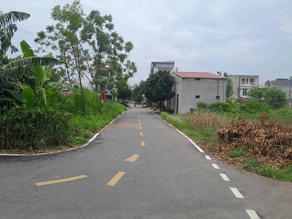 Bán đất nền 120m2, mặt tiền 6m tại Thanh Đình, Việt Trì, 1 tỷ 480 triệu - Ảnh thu nhỏ 2