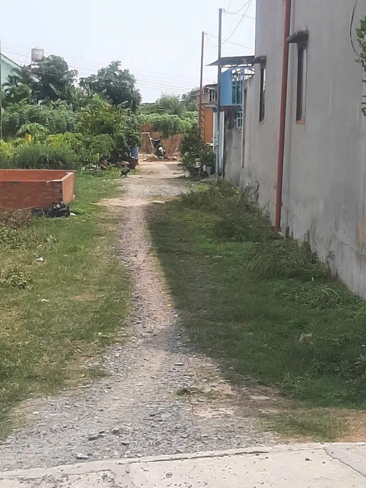 Bán đất Phú Đông 118m² gần chợ, trường học 2,45 tỷ - Ảnh thu nhỏ 3