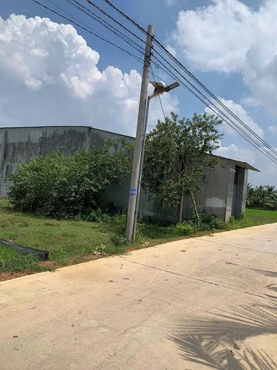 Bán nhà cấp 4, 145m², 750 triệu tại Đức Hòa - Ảnh 1