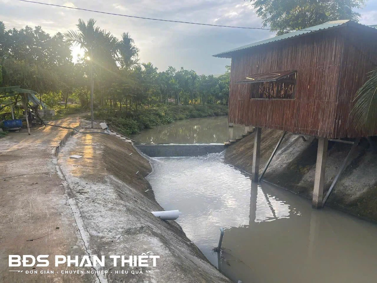 Bán đất mặt tiền DT22 Hàm Phú 11.337 ha, 8,9 tỷ - Ảnh thu nhỏ 3