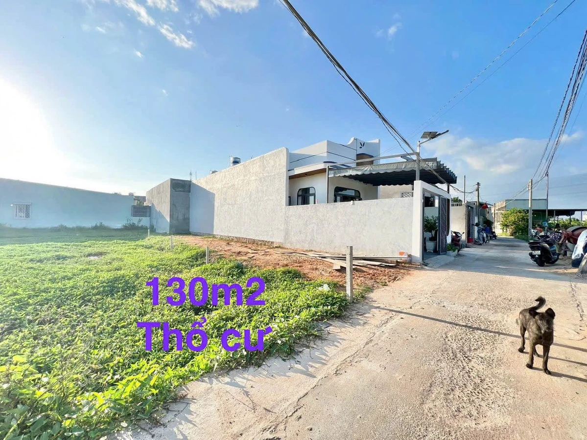 Bán đất thổ cư 130m² Phan Thiết 799 triệu - Ảnh thu nhỏ 2