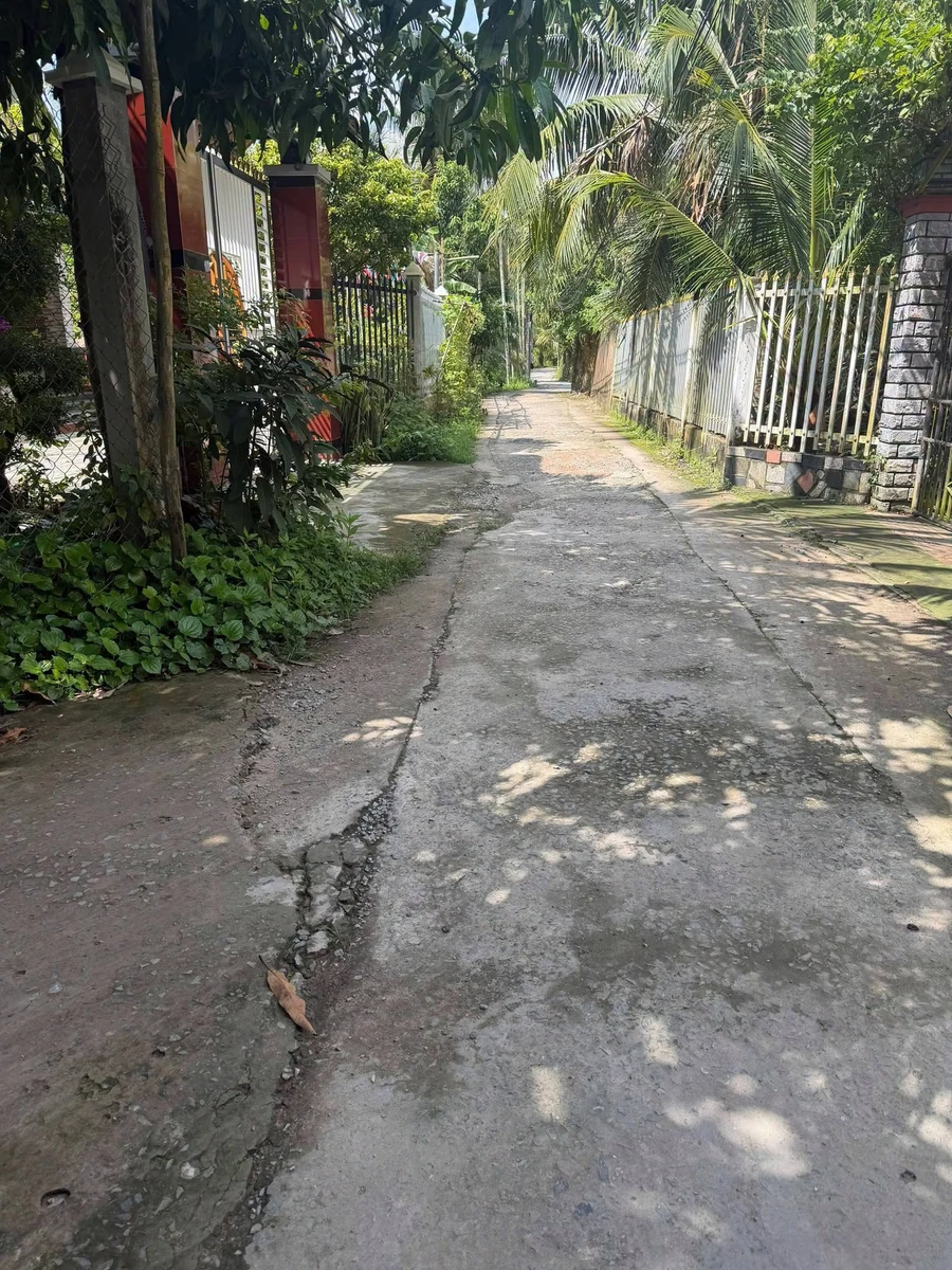 Bán nhà và đất 1000m² xã Tâm Thạch Củ Chi 750 triệu - Ảnh thu nhỏ 3
