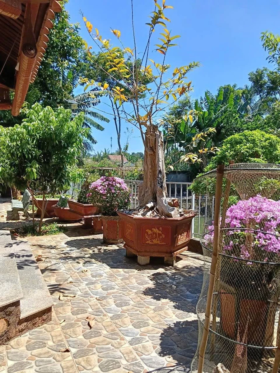 Bán nhà vườn mặt tiền Hoàng Quốc Việt, Buôn Ma Thuột, 4.372m² - Ảnh thu nhỏ 3