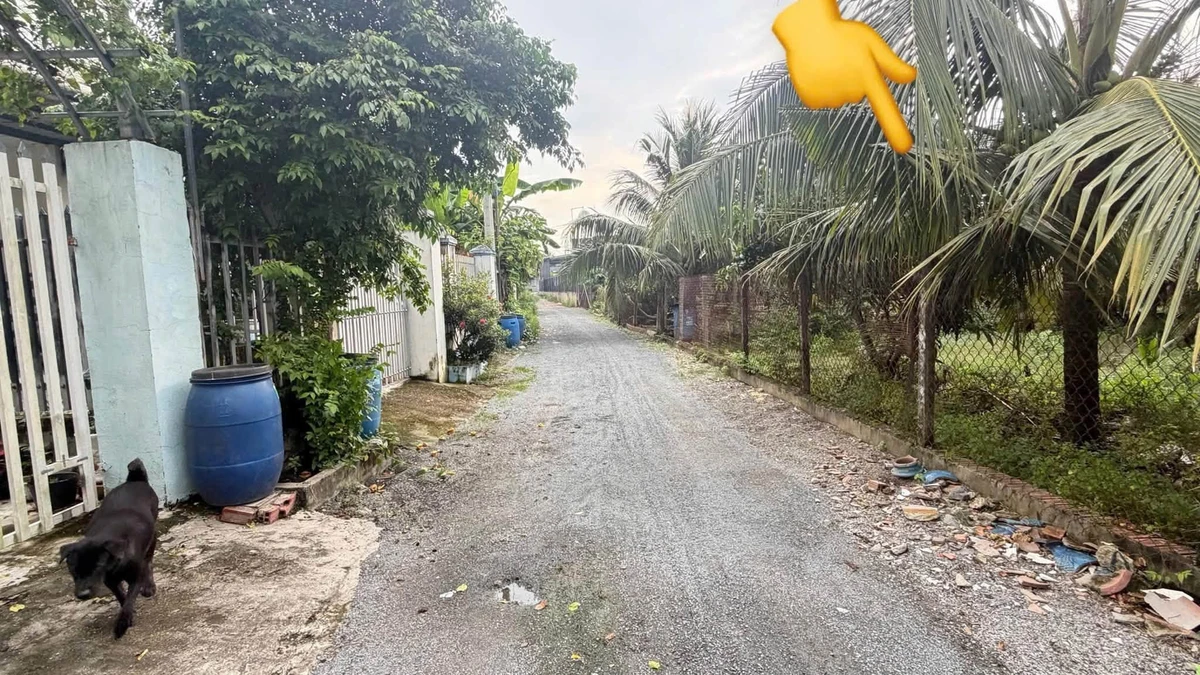 Bán đất Vĩnh Tân Tân Bình 200m² 1,9 tỷ - Ảnh thu nhỏ 2