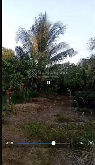 Bán đất 4300 m2 tại Ấp Thân Đạo, xã Châu Thành, Tiền Giang, 5.2 tỷ - Ảnh thu nhỏ 4
