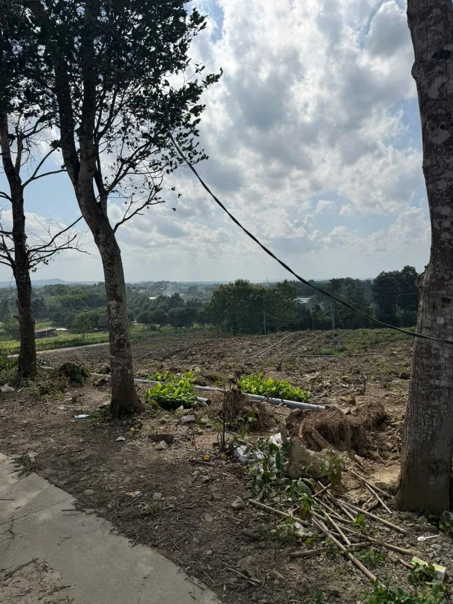 Bán 1000m² đất sào ở Định Quán, Đồng Nai, giá 700 triệu - Ảnh thu nhỏ 2