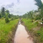 Bán 5,2 công đất vườn 1 tỷ 150 triệu Vĩnh Long - Ảnh thu nhỏ 1